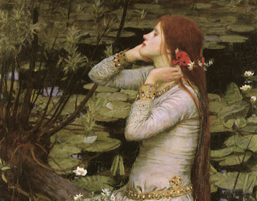 Screenshot 2026-02-26 at 3.15.23 PM